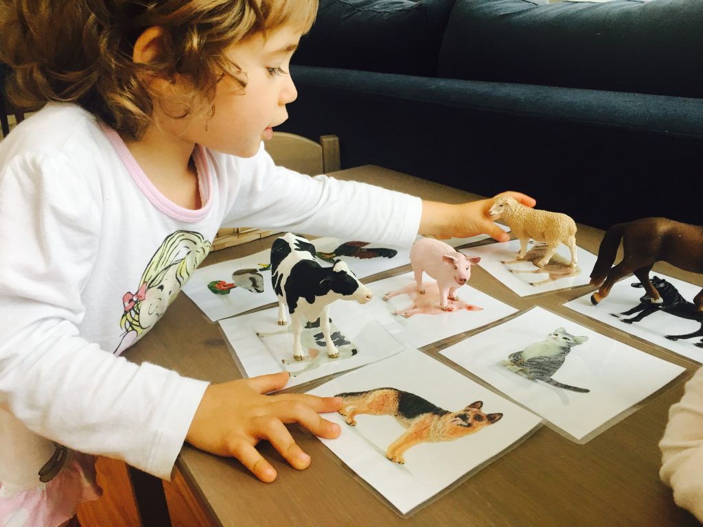 Atividades Montessori: princípios base | Escola Montessori do Porto